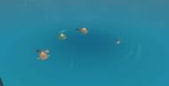 Medaka are the small light-red fish seen in this photo (Image via Genshin Impact)